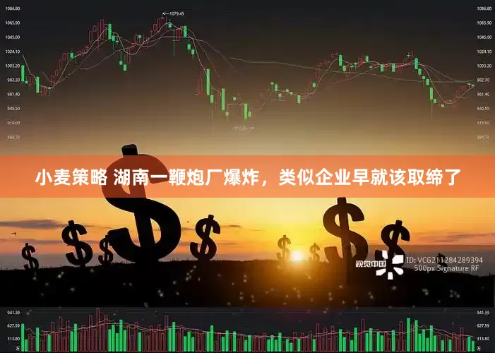 小麦策略 湖南一鞭炮厂爆炸，类似企业早就该取缔了