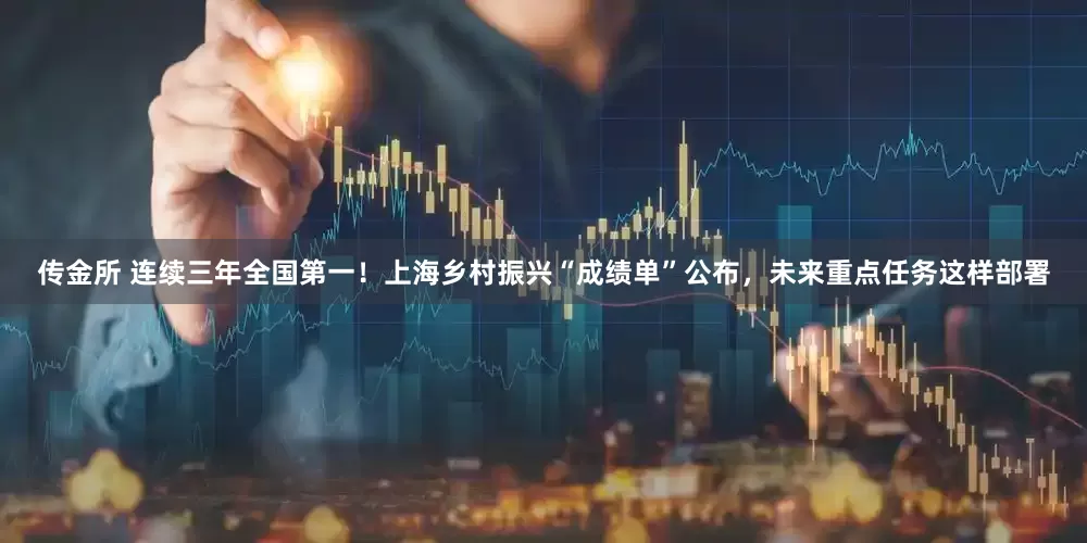 传金所 连续三年全国第一！上海乡村振兴“成绩单”公布，未来重点任务这样部署